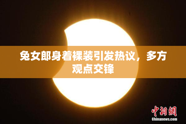 兔女郎身着裸装引发热议，多方观点交锋