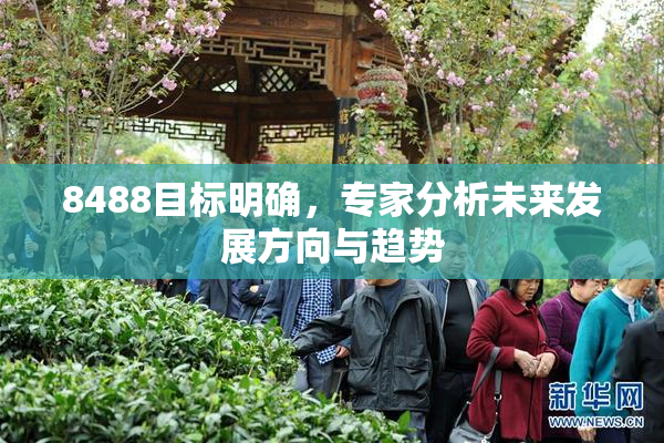 8488目标明确，专家分析未来发展方向与趋势