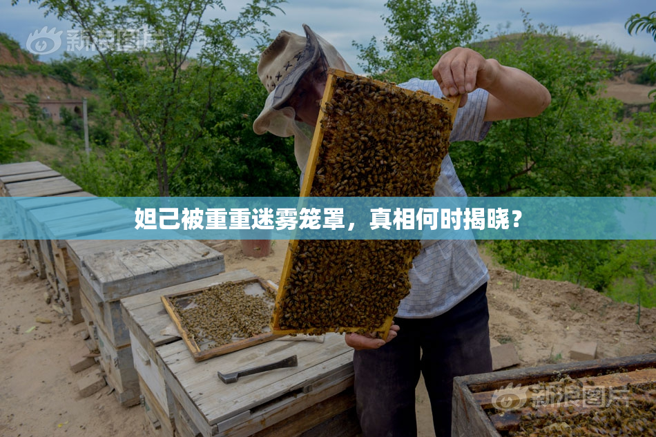 妲己被重重迷雾笼罩，真相何时揭晓？