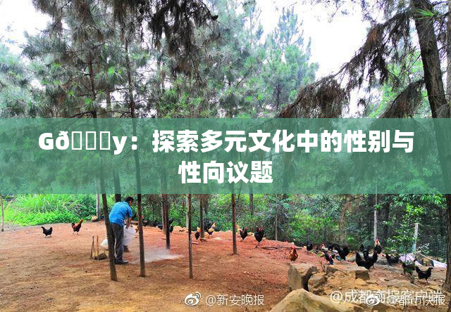 G🈚y：探索多元文化中的性别与性向议题