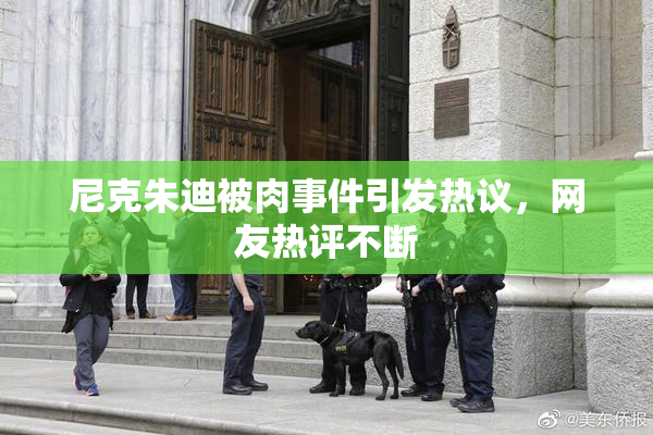 尼克朱迪被肉事件引发热议，网友热评不断