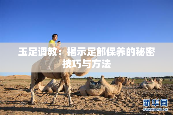 玉足调教：揭示足部保养的秘密技巧与方法