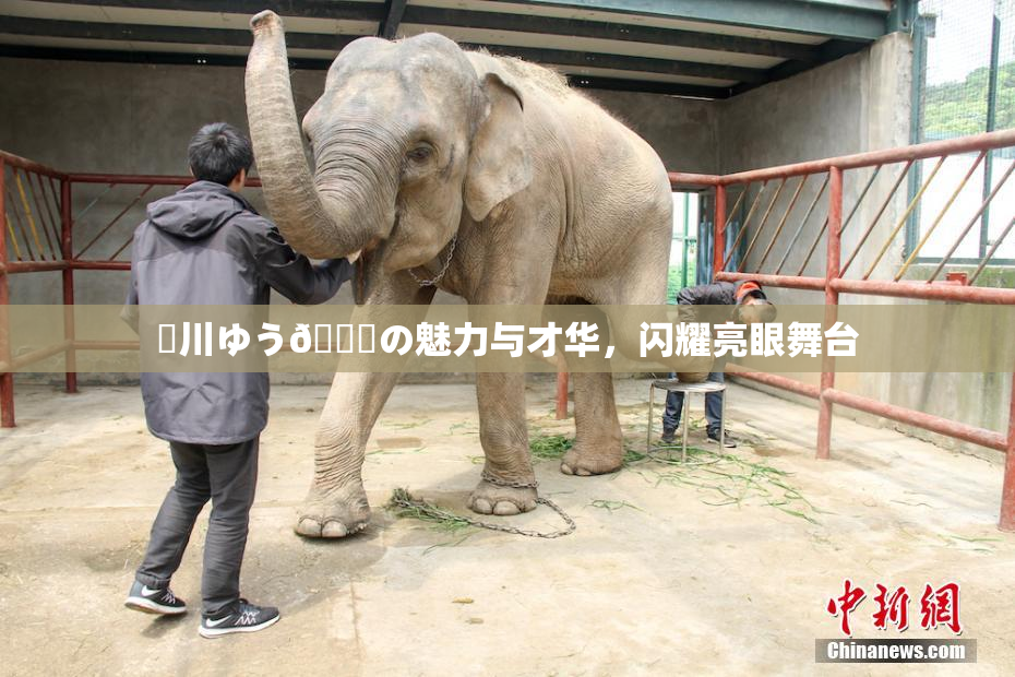 姫川ゆう🍑の魅力与才华，闪耀亮眼舞台
