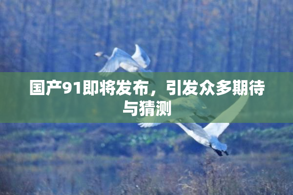 国产91即将发布，引发众多期待与猜测