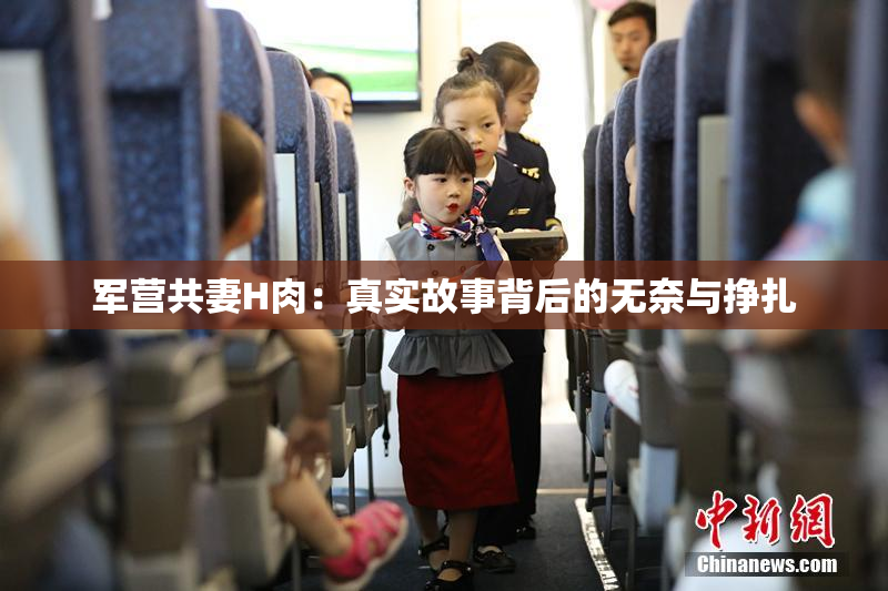 军营共妻H肉：真实故事背后的无奈与挣扎