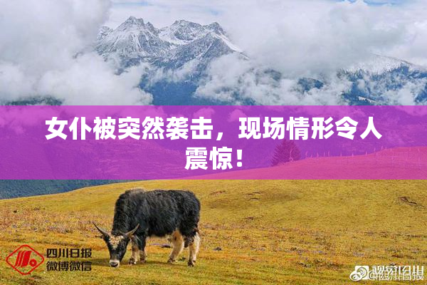 女仆被突然袭击，现场情形令人震惊！