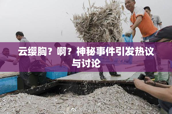云缨胸？啊？神秘事件引发热议与讨论
