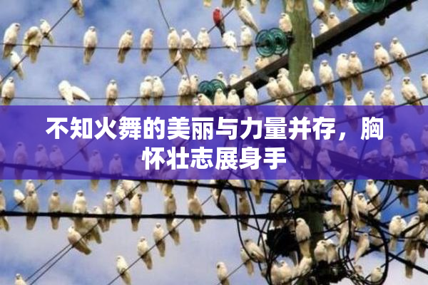 不知火舞的美丽与力量并存，胸怀壮志展身手