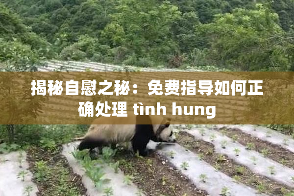 揭秘自慰之秘：免费指导如何正确处理 tình hung