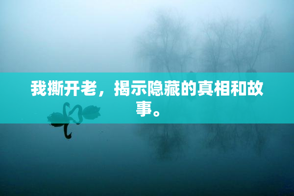我撕开老，揭示隐藏的真相和故事。