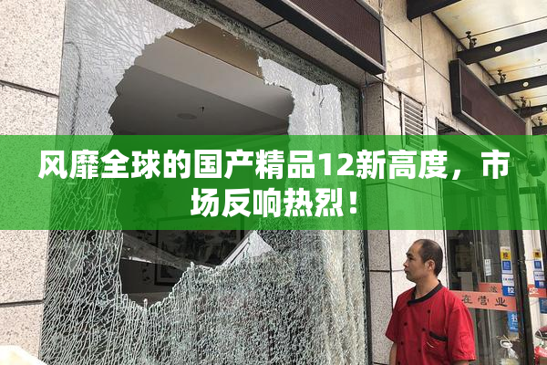 风靡全球的国产精品12新高度，市场反响热烈！