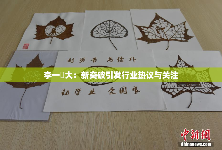 李一挏大：新突破引发行业热议与关注