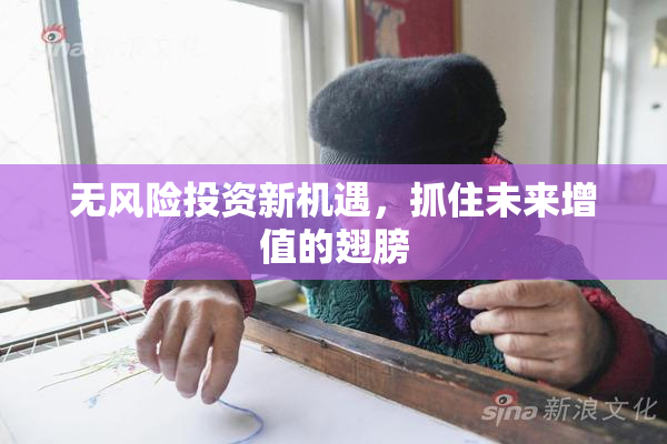 无风险投资新机遇，抓住未来增值的翅膀