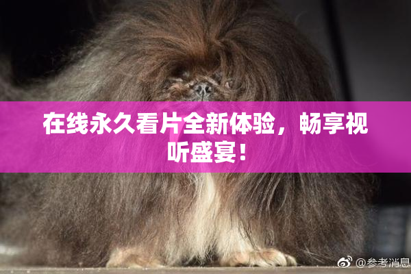 在线永久看片全新体验，畅享视听盛宴！