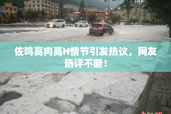 佐鸣高肉高H情节引发热议，网友热评不断！