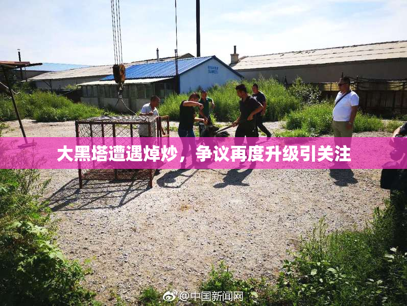 大黑塔遭遇焯炒，争议再度升级引关注