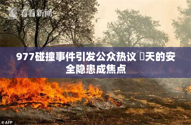 977碰撞事件引发公众热议 當天的安全隐患成焦点