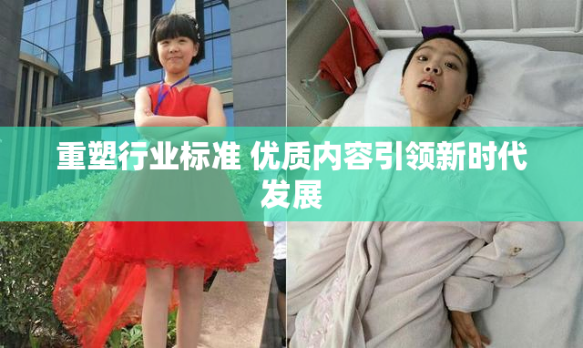 重塑行业标准 优质内容引领新时代发展