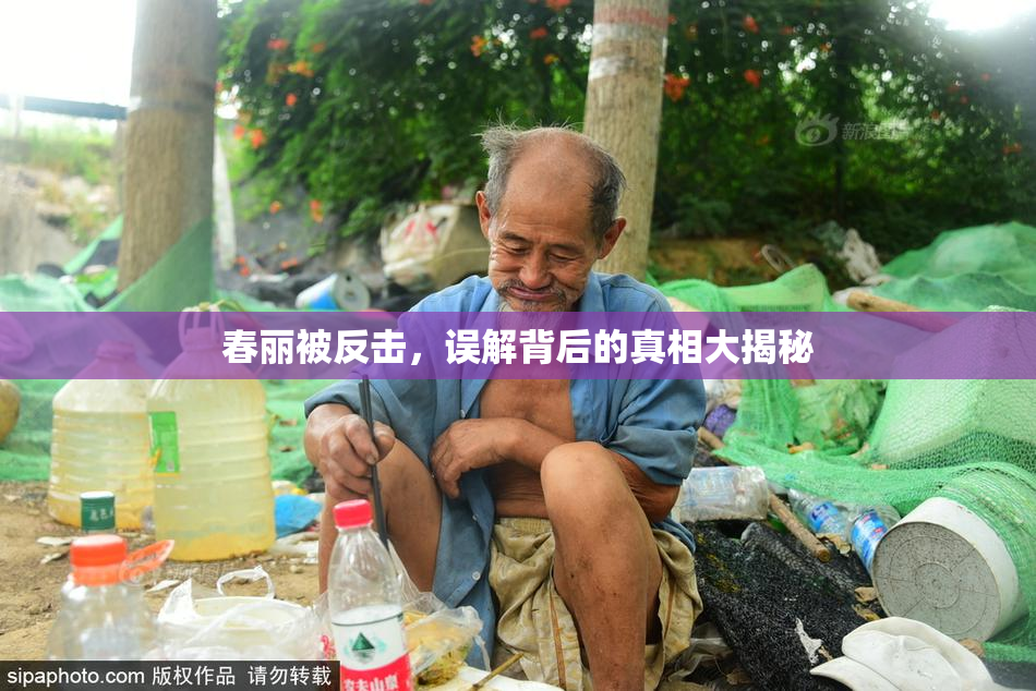 春丽被反击，误解背后的真相大揭秘