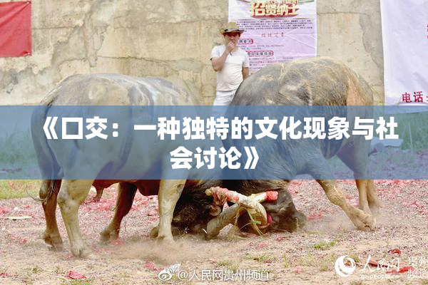 《囗交：一种独特的文化现象与社会讨论》