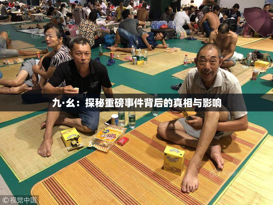 九·幺：探秘重磅事件背后的真相与影响
