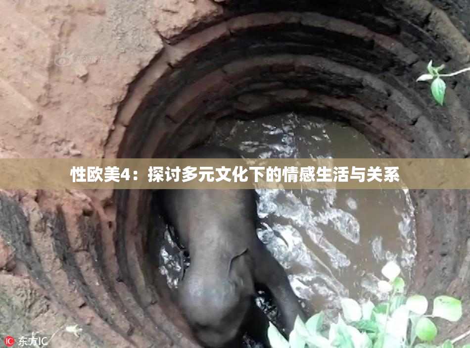 性欧美4：探讨多元文化下的情感生活与关系