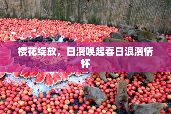 樱花绽放，日漫唤起春日浪漫情怀