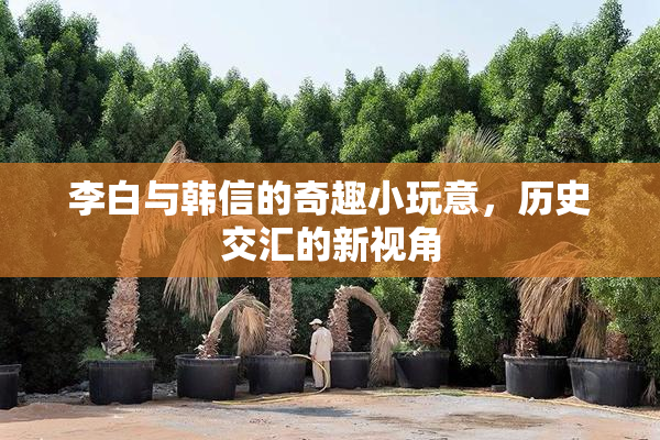 李白与韩信的奇趣小玩意，历史交汇的新视角