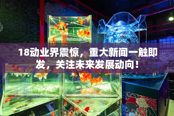 18动业界震惊，重大新闻一触即发，关注未来发展动向！