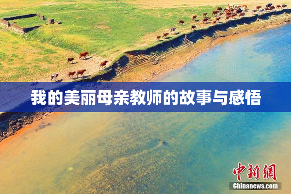 我的美丽母亲教师的故事与感悟