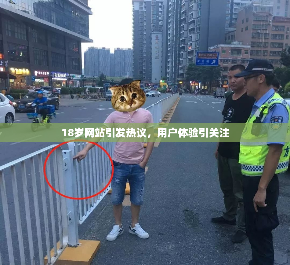 18岁网站引发热议，用户体验引关注
