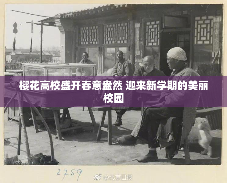 樱花高校盛开春意盎然 迎来新学期的美丽校园