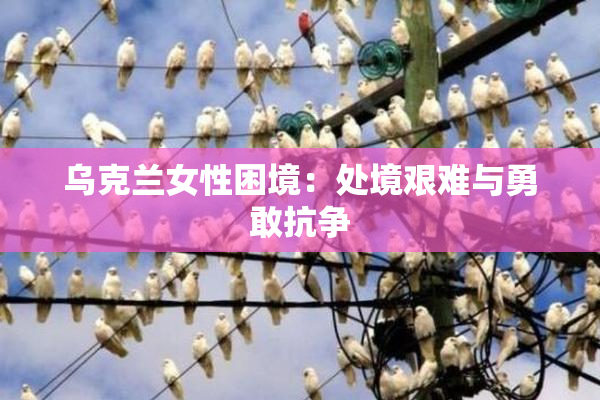 乌克兰女性困境：处境艰难与勇敢抗争
