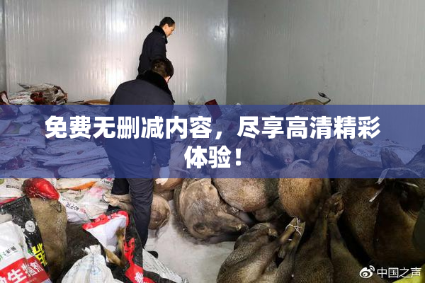 免费无删减内容，尽享高清精彩体验！
