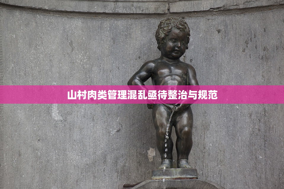 山村肉类管理混乱亟待整治与规范
