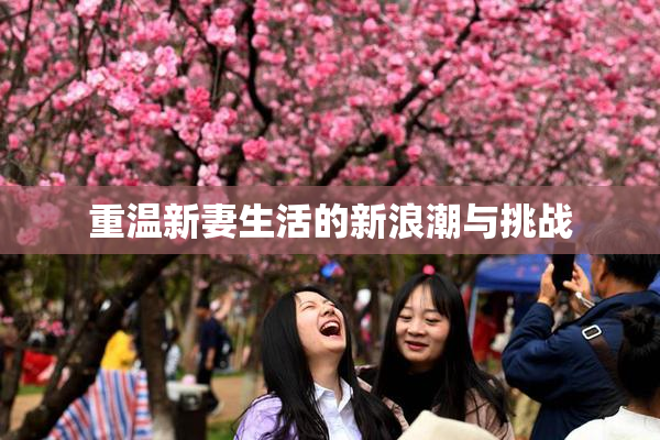 重温新妻生活的新浪潮与挑战