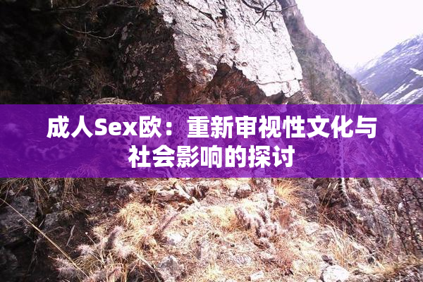 成人Sex欧：重新审视性文化与社会影响的探讨
