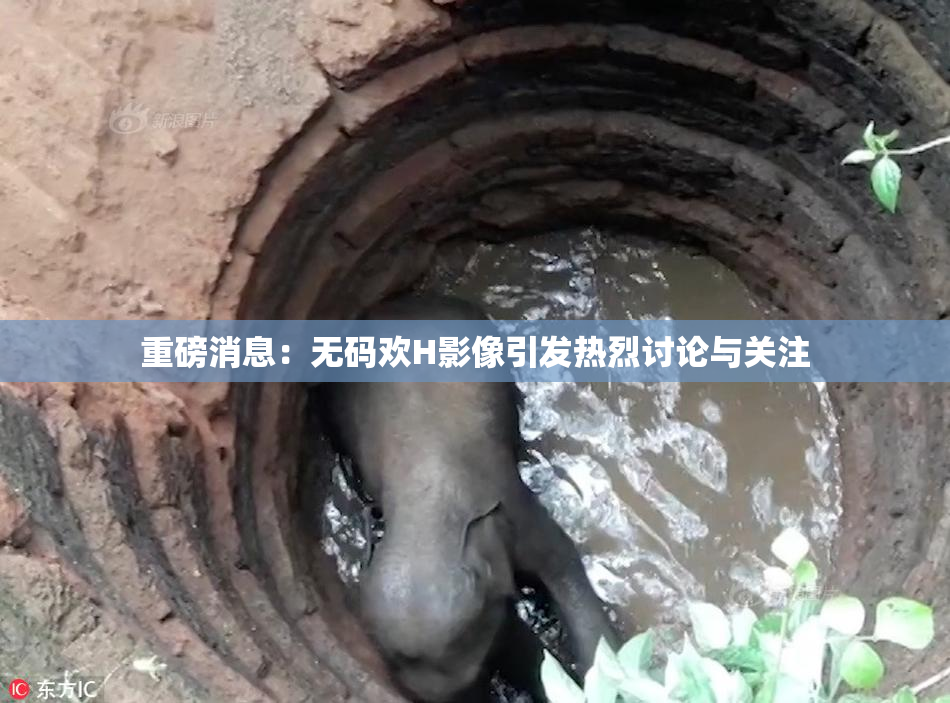 重磅消息：无码欢H影像引发热烈讨论与关注