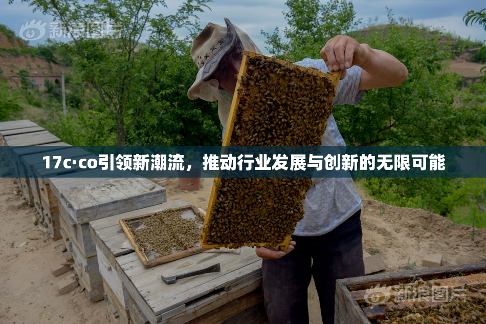 17c·co引领新潮流，推动行业发展与创新的无限可能