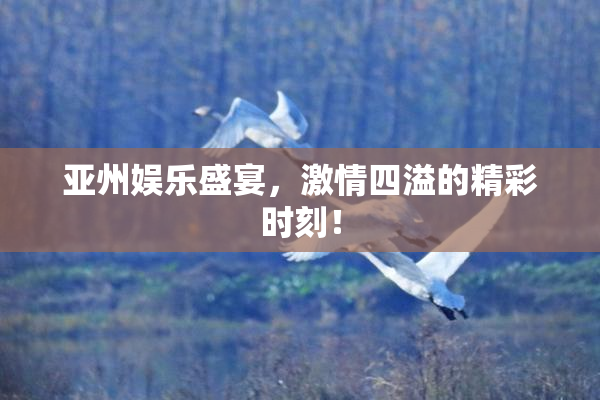 亚州娱乐盛宴，激情四溢的精彩时刻！