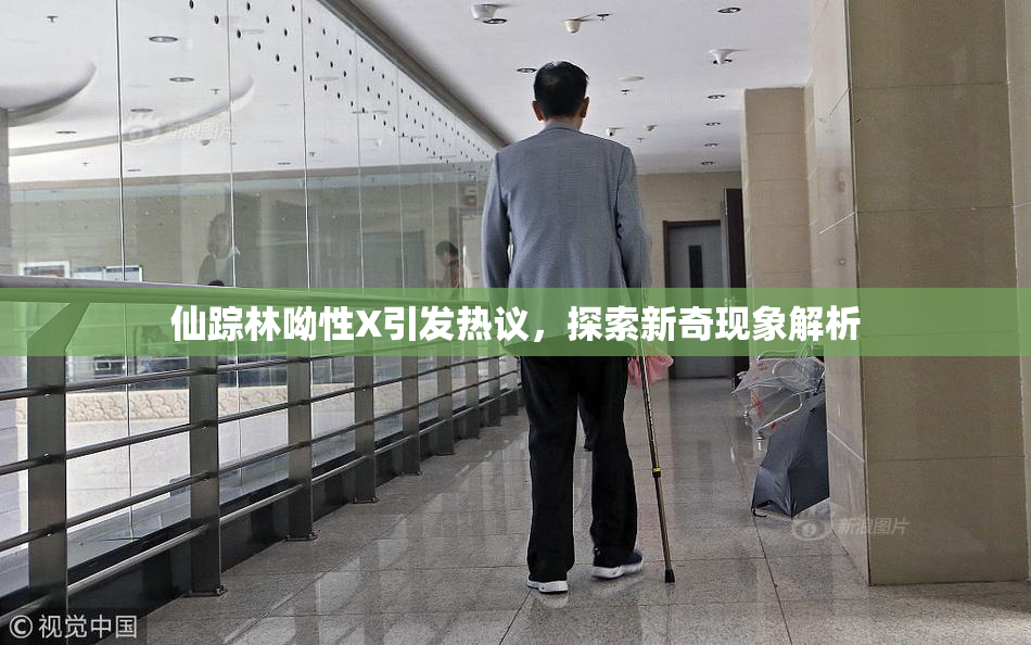 仙踪林呦性X引发热议，探索新奇现象解析
