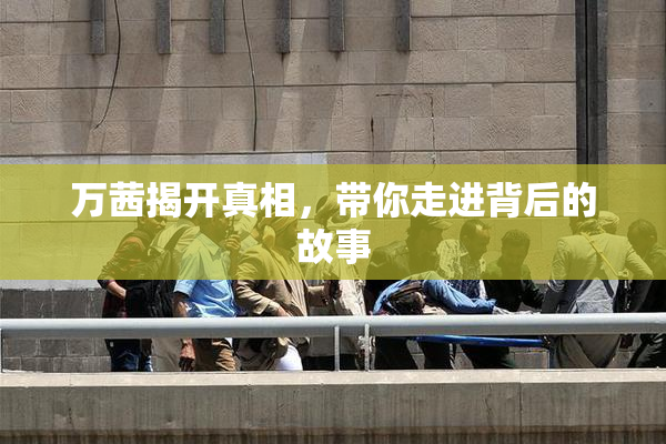 万茜揭开真相，带你走进背后的故事