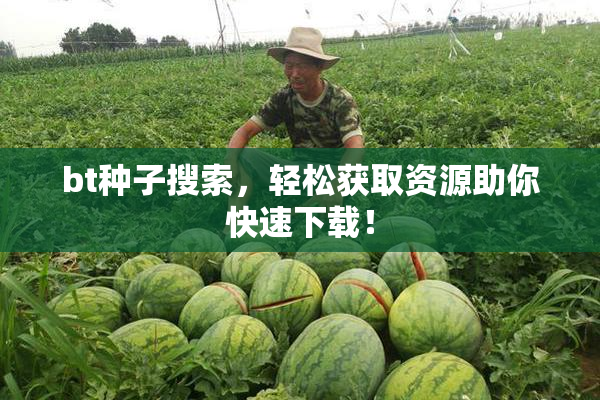bt种子搜索，轻松获取资源助你快速下载！