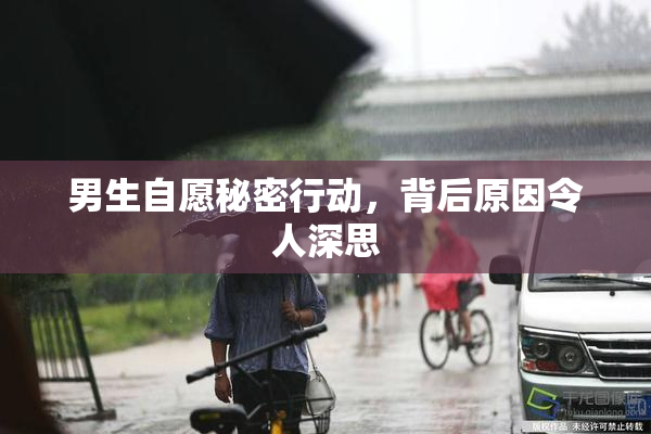 男生自愿秘密行动，背后原因令人深思