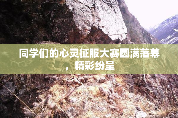 同学们的心灵征服大赛圆满落幕，精彩纷呈