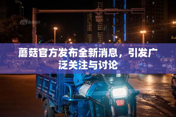 蘑菇官方发布全新消息，引发广泛关注与讨论