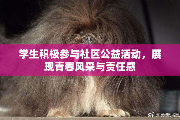 学生积极参与社区公益活动，展现青春风采与责任感