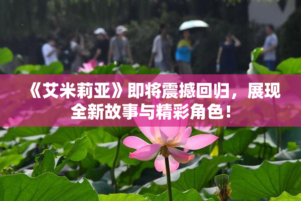 《艾米莉亚》即将震撼回归，展现全新故事与精彩角色！