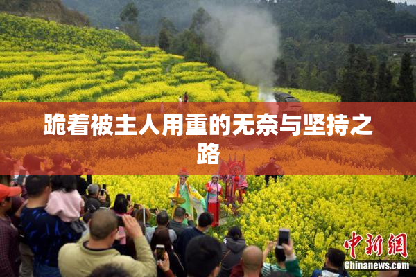 跪着被主人用重的无奈与坚持之路