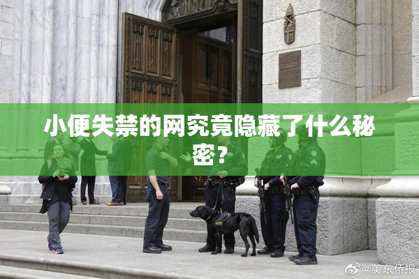 小便失禁的网究竟隐藏了什么秘密？